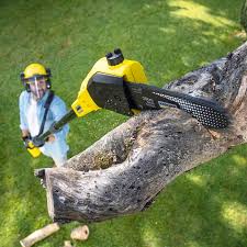 Why Choose Our Tree Removal Services in Tilton Northfield, NH?