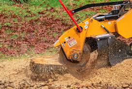 Best Soil Testing and Treatment  in Tilton Northfield, NH