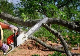 Tilton Northfield, NH  Tree Services Company